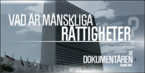 Vad är mänskliga rättigheter?